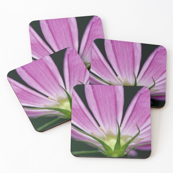 Item preview, Purple cosmos flower on black background designed and sold by olena2552.
