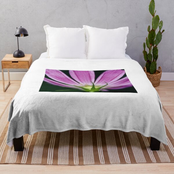 Item preview, Purple cosmos flower on black background designed and sold by olena2552.