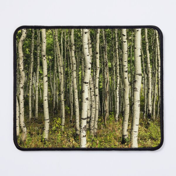 Item preview, Aspen Grove designed and sold by Jason Asher.