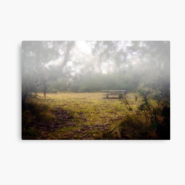 Up in the Clouds Canvas Print