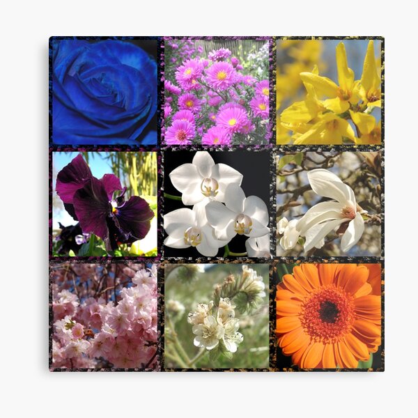 Metal Print