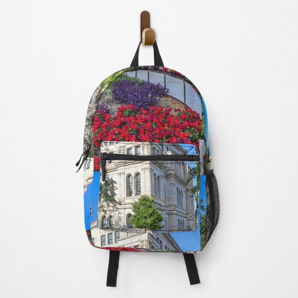 Item preview, USA. Texas. San Antonio. City Hall. designed and sold by vadim19.