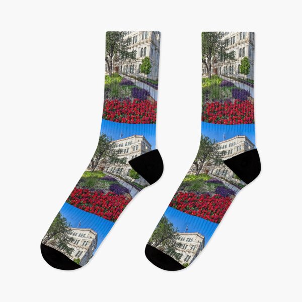 Item preview, USA. Texas. San Antonio. City Hall. designed and sold by vadim19.