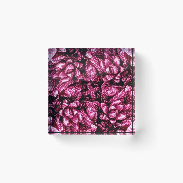 Item preview, Succulent designed and sold by wumplekin.