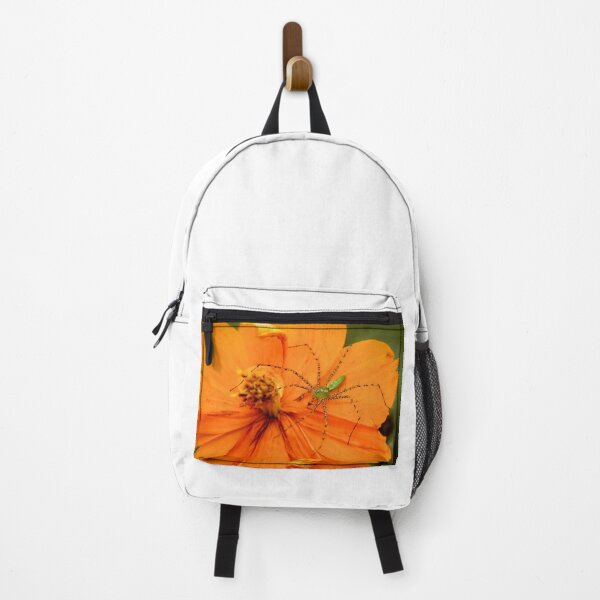 Item preview, Interesante araña lince designed and sold by tlp21.