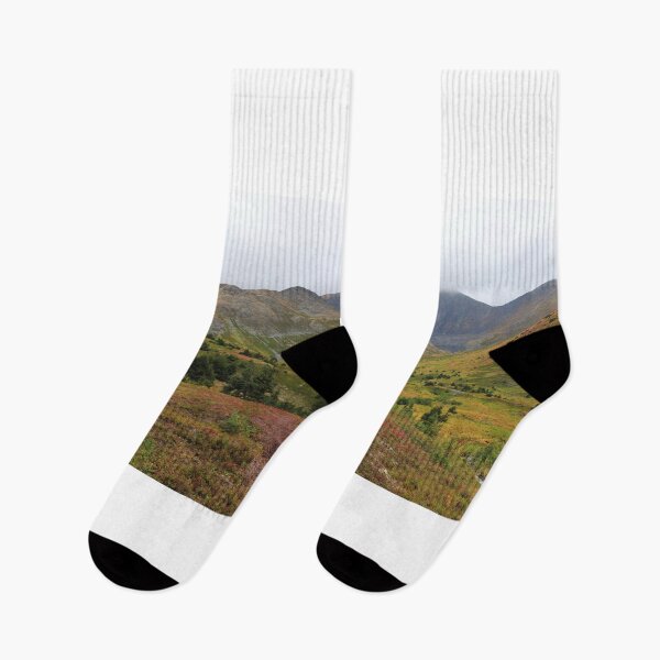 Item preview, Views from Palmer lakes trail (panorama) designed and sold by zumi.