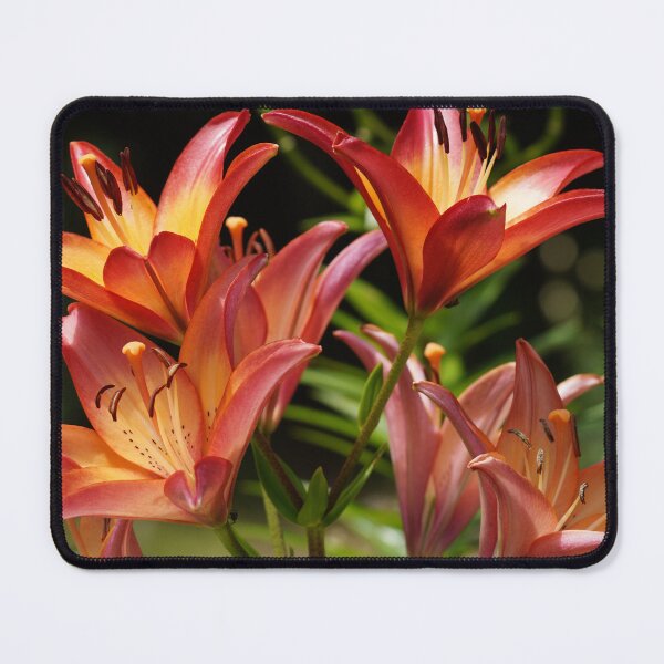 Item preview, Daylilies designed and sold by edenjoy-designs.