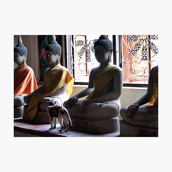 Item preview, Buddhas And Cat designed and sold by PixPlanet.