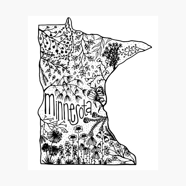 minnesota Photographic Print