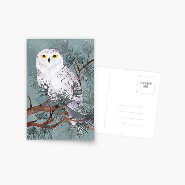Snowy Postcard