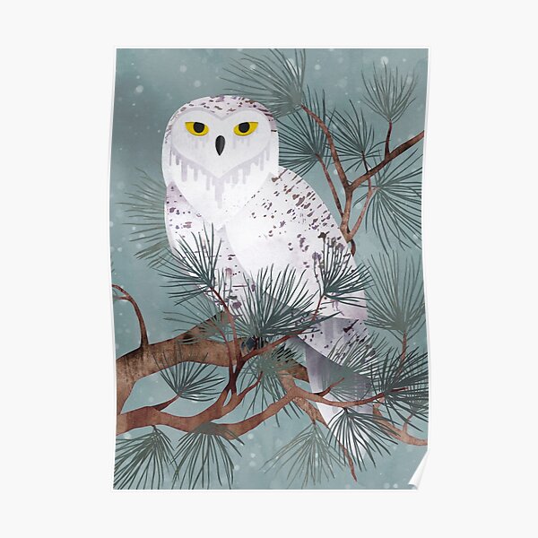 Owl Posters for Sale |