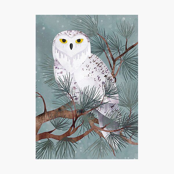 Snowy Photographic Print