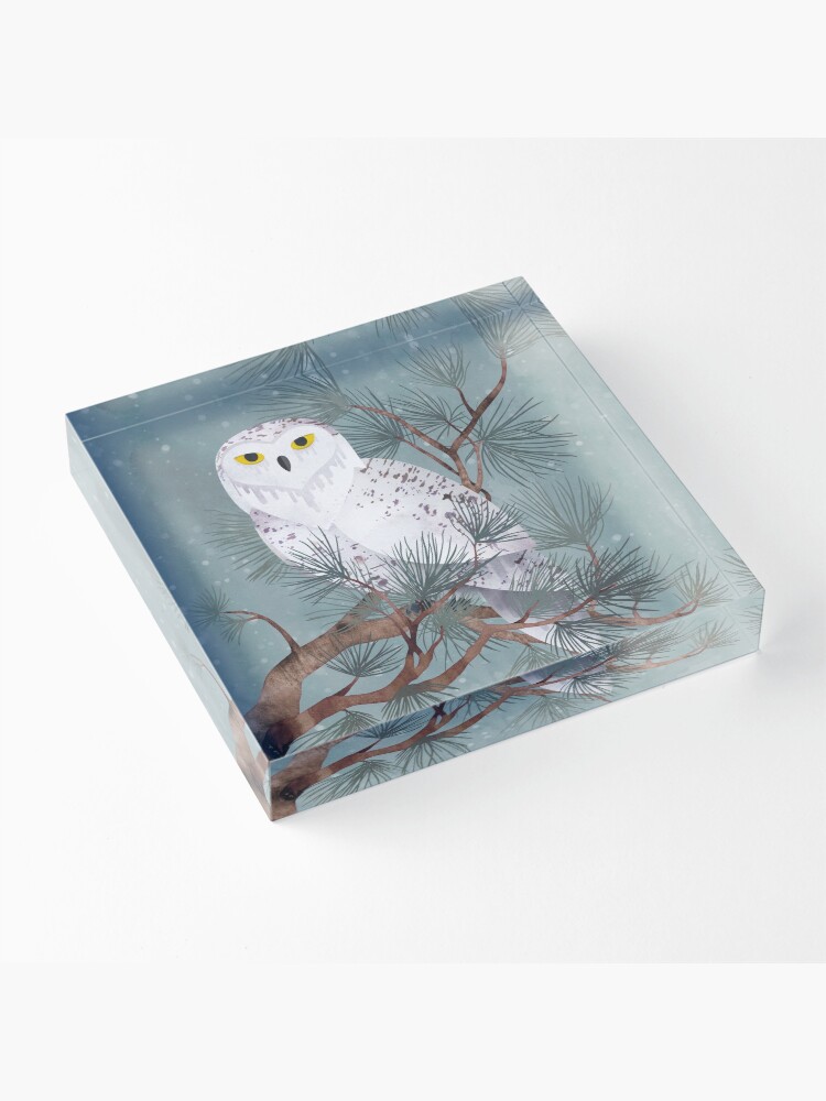 Alternate view of Snowy Acrylic Block