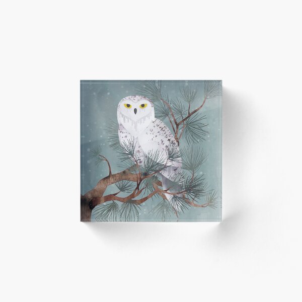 Snowy Acrylic Block