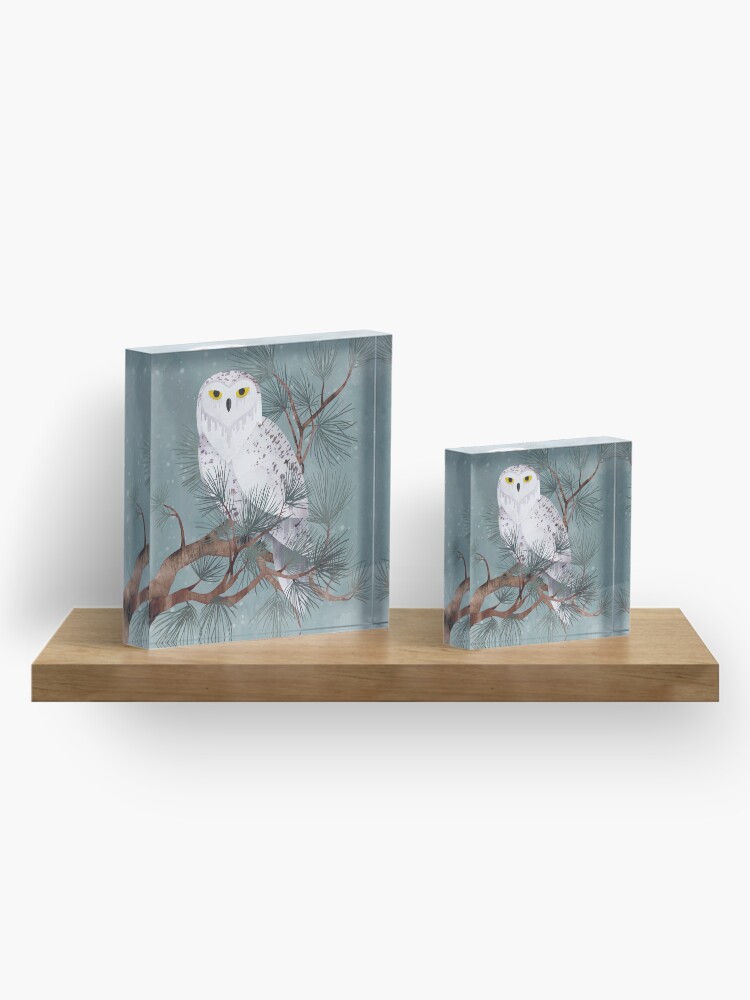 Alternate view of Snowy Acrylic Block