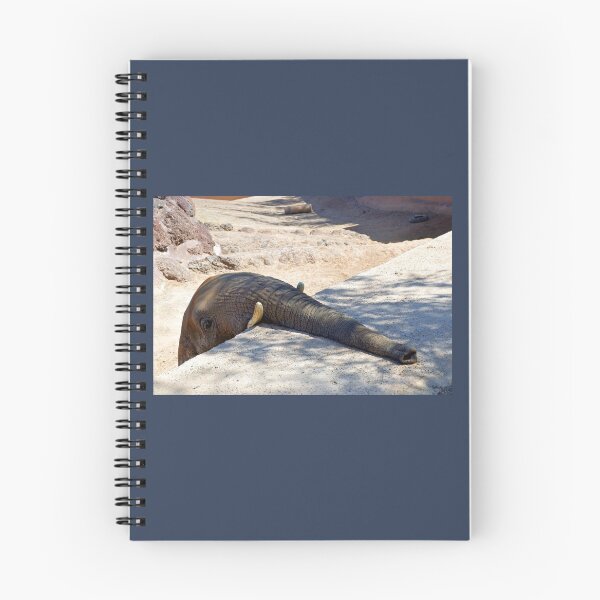 Item preview, Have You a treat for me............. designed and sold by lynn carter.