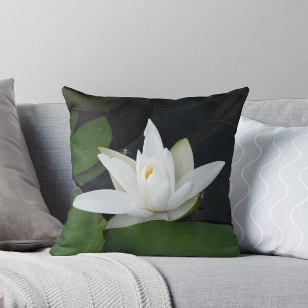 Item preview, Lone Water Lily designed and sold by fortuitous.