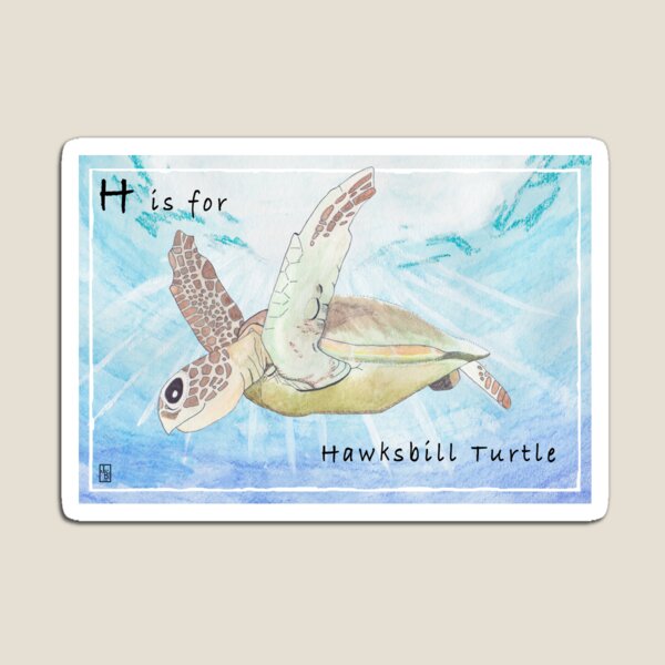 H is for Hawksbill Turtle Magnet