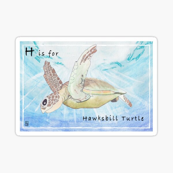 H is for Hawksbill Turtle Sticker