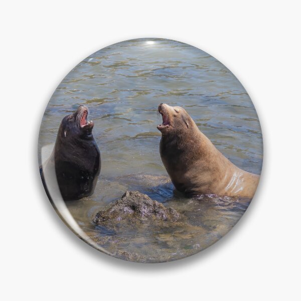 Item preview, Sea Lions Singing a Duet in the Water designed and sold by SafariByMarisa.