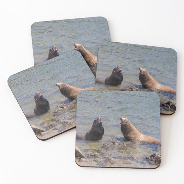 Item preview, Sea Lions Singing a Duet in the Water designed and sold by SafariByMarisa.