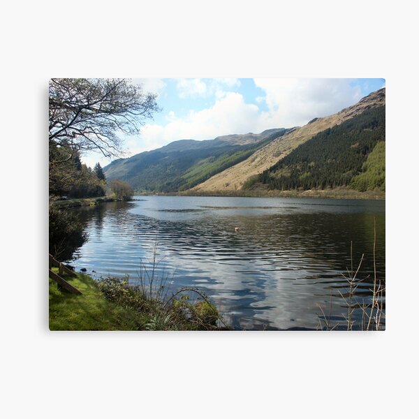 A corner in Loch Eck Canvas Print