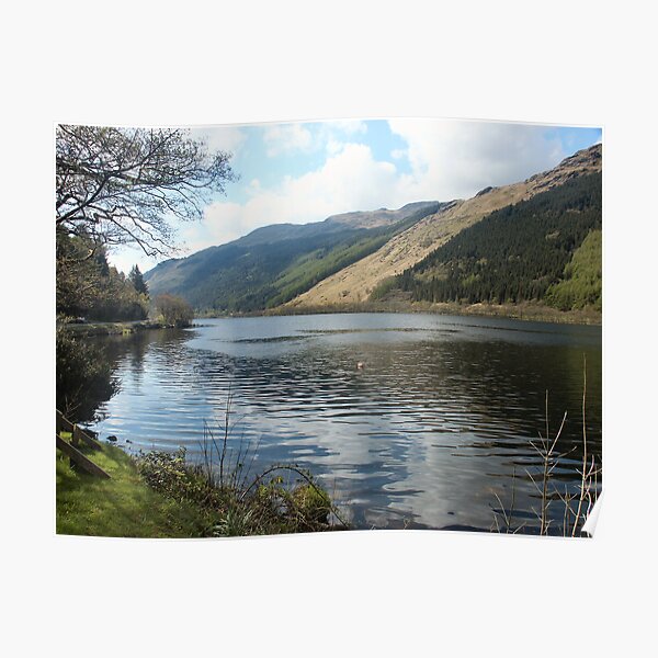 A corner in Loch Eck Poster