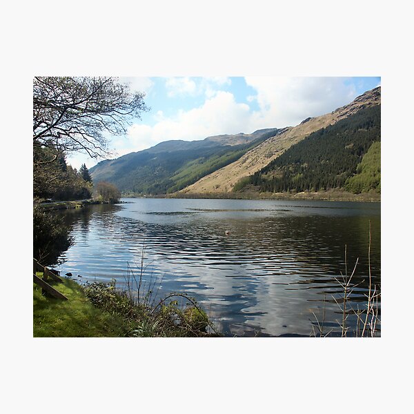 A corner in Loch Eck Photographic Print
