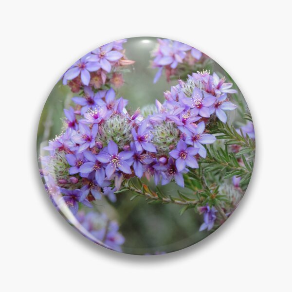 Item preview, Pretty Purple Calytrix leschenaultii Flowers - Western Australia designed and sold by Marilyn Harris.