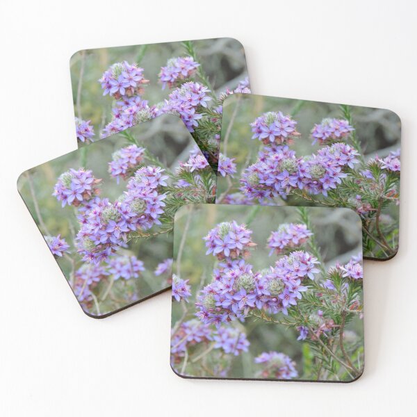 Item preview, Pretty Purple Calytrix leschenaultii Flowers - Western Australia designed and sold by Marilyn Harris.