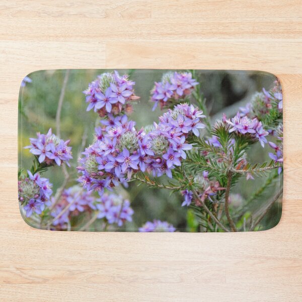 Item preview, Pretty Purple Calytrix leschenaultii Flowers - Western Australia designed and sold by Marilyn Harris.