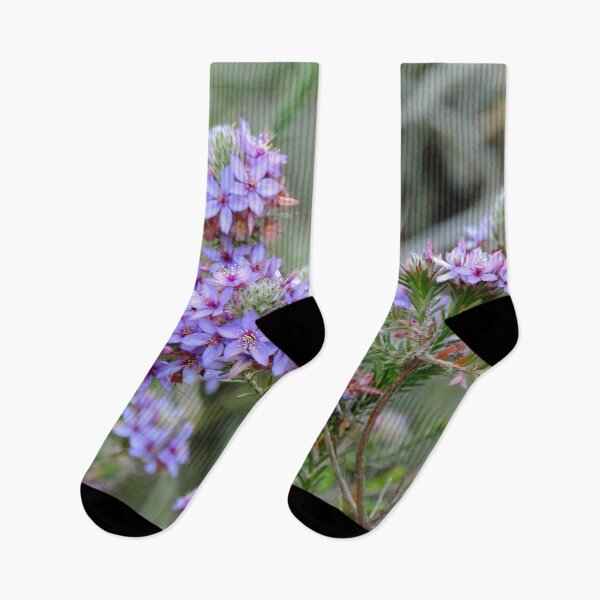 Item preview, Pretty Purple Calytrix leschenaultii Flowers - Western Australia designed and sold by Marilyn Harris.