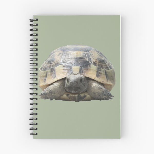 Item preview, Greek Tortoise Testudo Tucked In Shell Cut Out designed and sold by taiche.