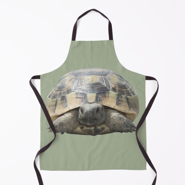 Item preview, Greek Tortoise Testudo Tucked In Shell Cut Out designed and sold by taiche.