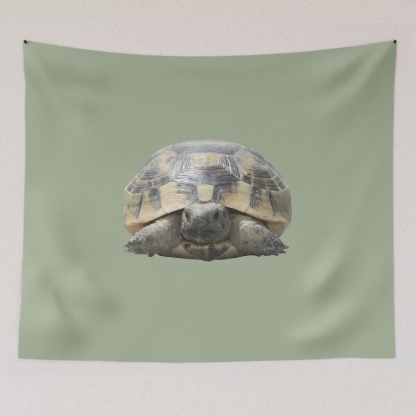 Item preview, Greek Tortoise Testudo Tucked In Shell Cut Out designed and sold by taiche.