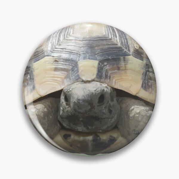 Item preview, Greek Tortoise Testudo Tucked In Shell Cut Out designed and sold by taiche.