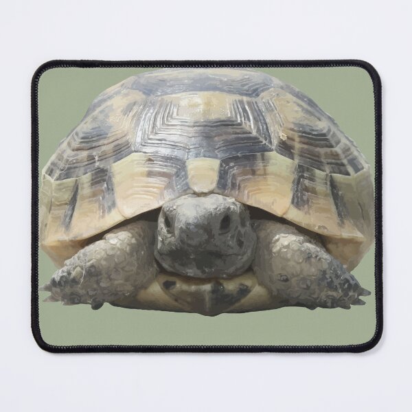 Item preview, Greek Tortoise Testudo Tucked In Shell Cut Out designed and sold by taiche.