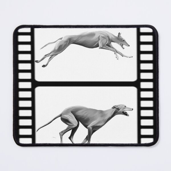 Item preview, Greyhound Zoetrope designed and sold by GeekyGreyhound.