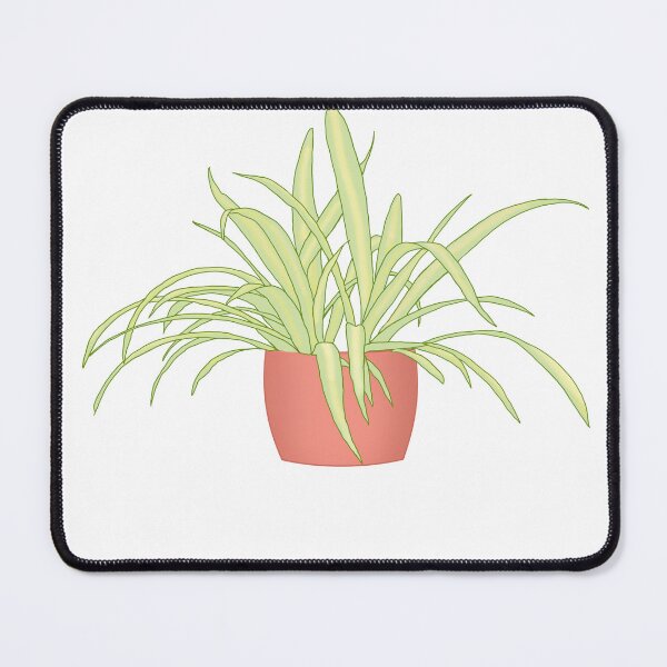 Item preview, Potted Spider Plant designed and sold by MastersonDesign.