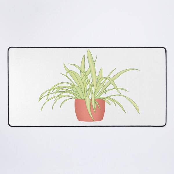 Item preview, Potted Spider Plant designed and sold by MastersonDesign.