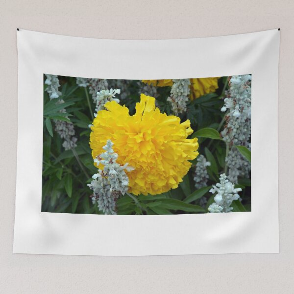 Item preview, Beautiful yellow round flower in the garden  designed and sold by oanaunciuleanu.