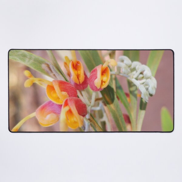 Item preview, Spectacular Grevillea refracta designed and sold by Marilyn Harris.