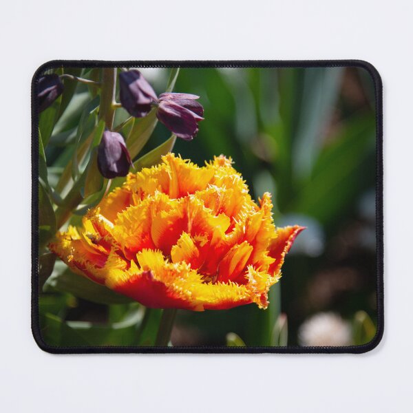 Item preview, full bloom designed and sold by FunParlor.