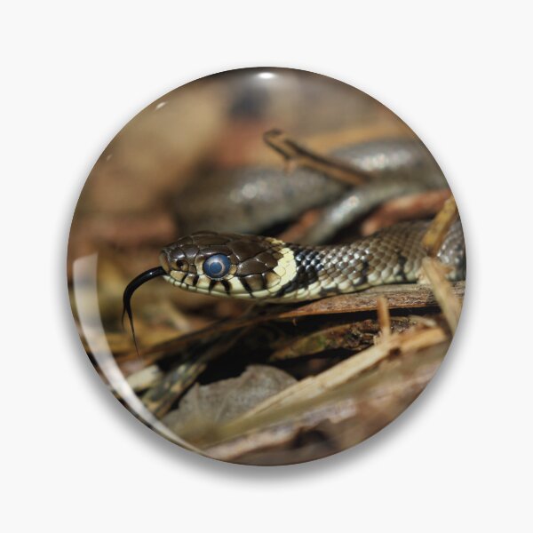 Item preview, Grass snake -  Natrix natrix  designed and sold by Christian Moss.