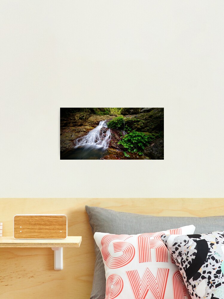 Thumbnail 2 of 3, Photographic Print, Cascade designed and sold by oosh.
