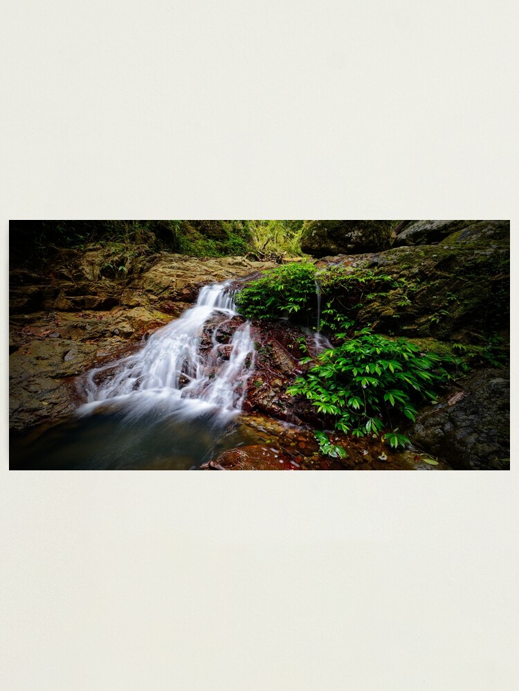 Thumbnail 1 of 3, Photographic Print, Cascade designed and sold by oosh.