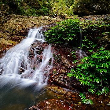 Artwork thumbnail, Cascade by Jason Asher