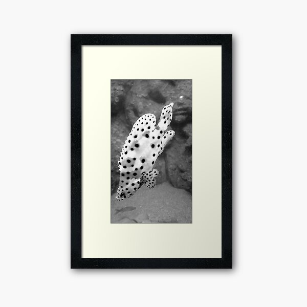 Item preview, Spotty fish  designed and sold by OllieandQuinn.