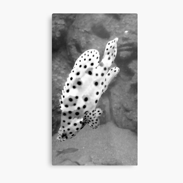 Item preview, Spotty fish  designed and sold by OllieandQuinn.