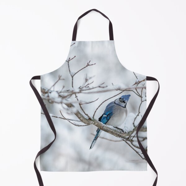 Artikelvorschau, Winterliche Szene thront Bluejay entworfen und verkauft von Roxane Bay.